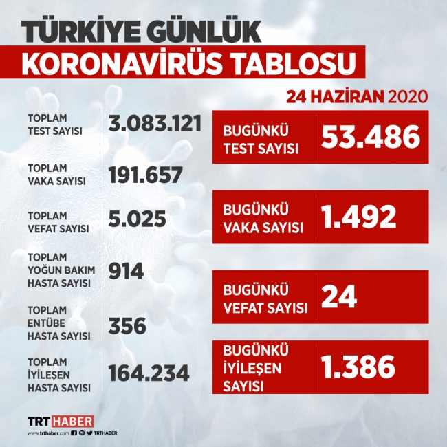 Türkiye'de virüsü yenen hasta sayısı 164 bini geçti